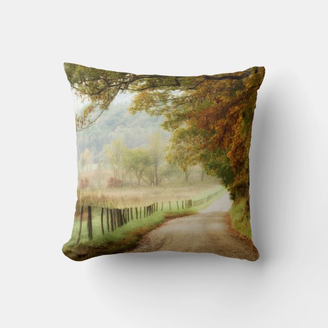 Autumn on a Country Road Cushion (Front)