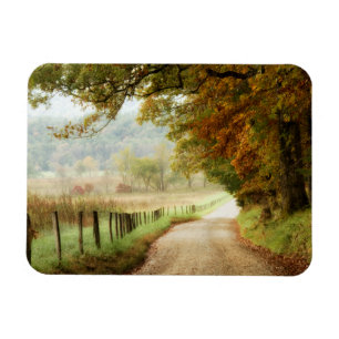 Autumn on a Country Road Magnet