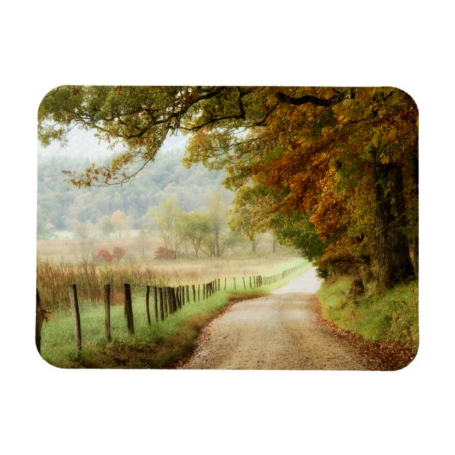 Autumn on a Country Road Magnet (Horizontal)