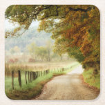 Autumn on a Country Road Square Paper Coaster<br><div class="desc">Home Décor</div>