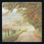 Autumn on a Country Road Stone Coaster<br><div class="desc">Home Décor</div>