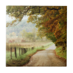 Autumn on a Country Road Tile
