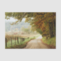 Autumn on a Country Road