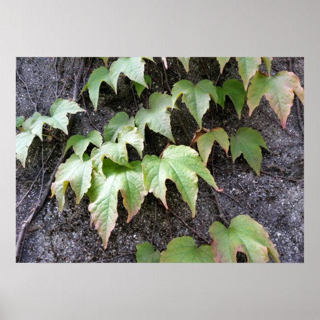 Autumn on a wall poster (Front)