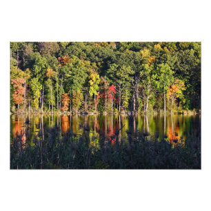 Autumn On Beardsley Pond Photo Print
