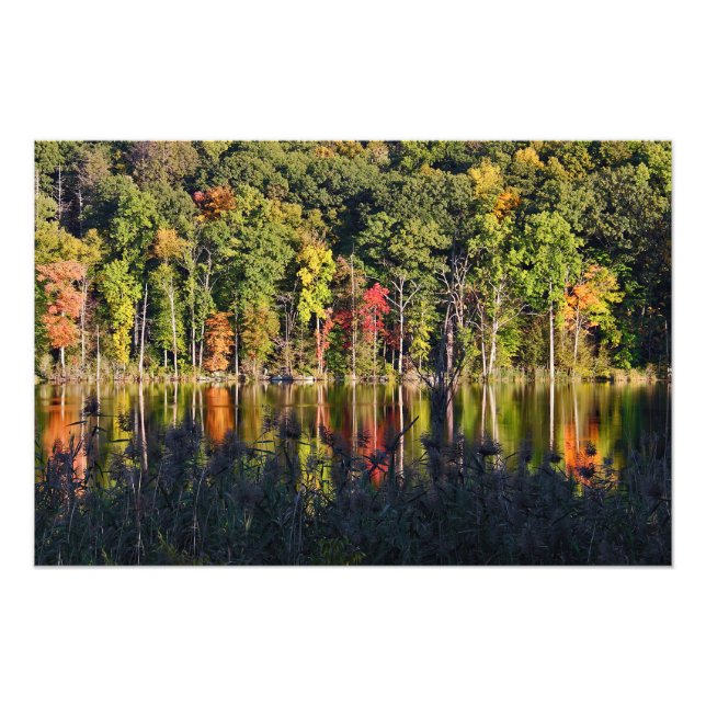 Autumn On Beardsley Pond Photo Print (Front)