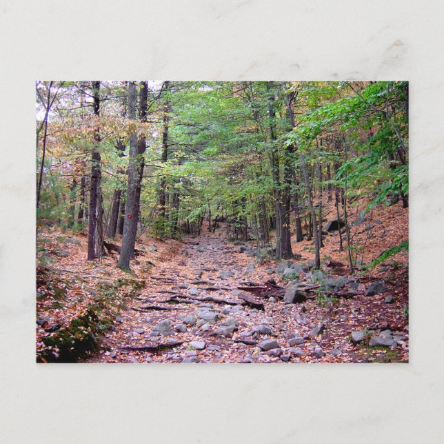 Autumn on Blue Hills Reservation Red Dot Trail Postcard (Front)