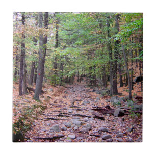 Autumn on Blue Hills Reservation Red Dot Trail Tile