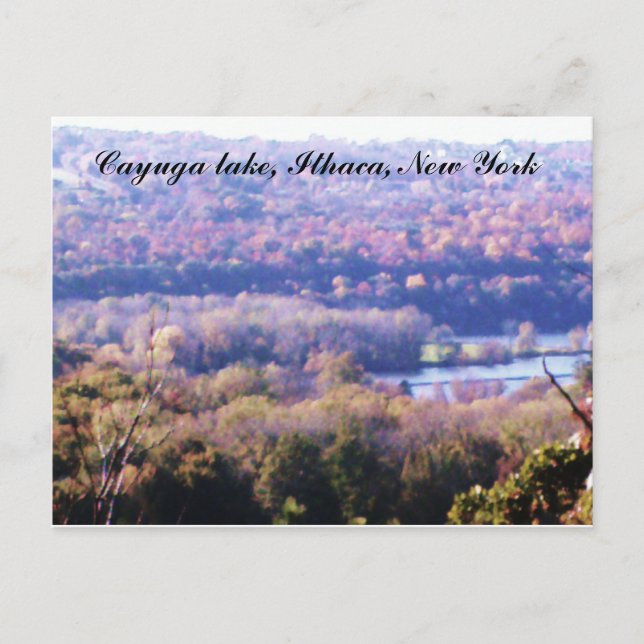AUTUMN ON CAYUGA LAKE postcard (Front)