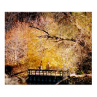 Autumn on Long Island