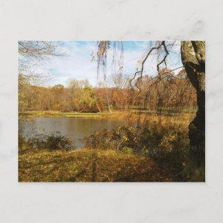 Autumn on the Lake Postcard
