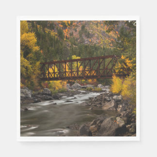 Autumn on the river napkin