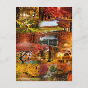 autumn one postcard