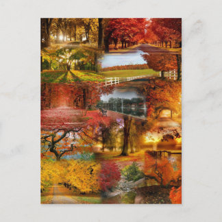 autumn one postcard