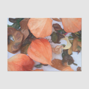 Autumn Orange Chinese Lanterns Plant Tissue Paper