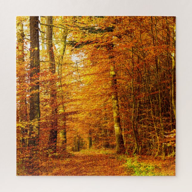 Autumn Orange: Forest Path View. Jigsaw Puzzle (Vertical)