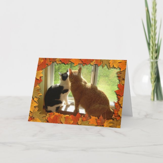 Autumn Orange Tabby Cats Holiday Card (Front)