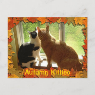 Autumn Orange Tabby Cats Postcard