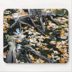 Autumn Otter Pond of Leaves Mouse Mat