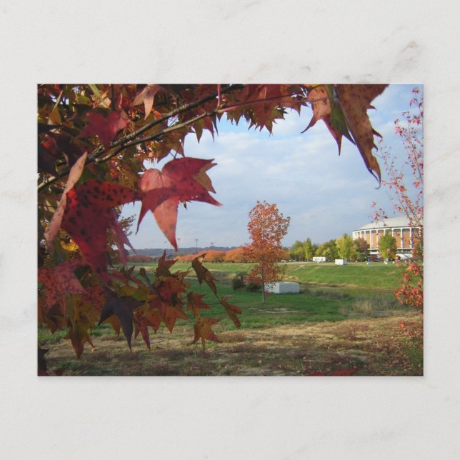 Autumn Over the Convo Postcard (Front)