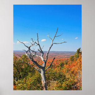 Autumn Overlook at Mount Bohemia Poster