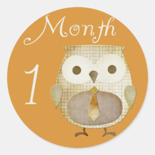Autumn Owl 1 Month Sticker