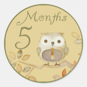 Autumn Owl 5 Months Sticker