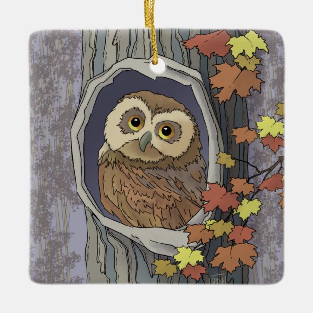 Autumn Owl and Fall Colours    Ceramic Ornament (Front)