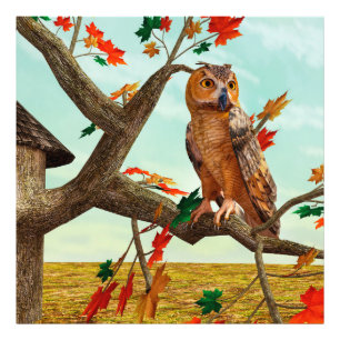 Autumn Owl Maple Tree Wildlife Art Photo Print
