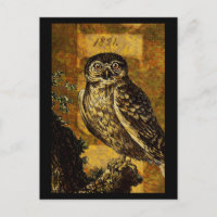 Autumn Owl