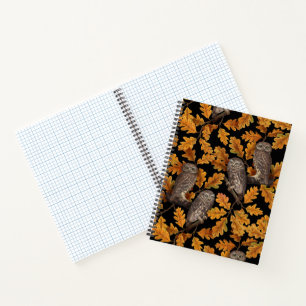 Autumn owls on black notebook