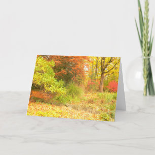 "AUTUMN PALETTE" (WOODS AWASH IN COLOR/PHOTOG) CARD