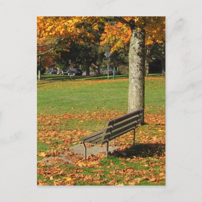 Autumn Park Bench Postcard (Front)