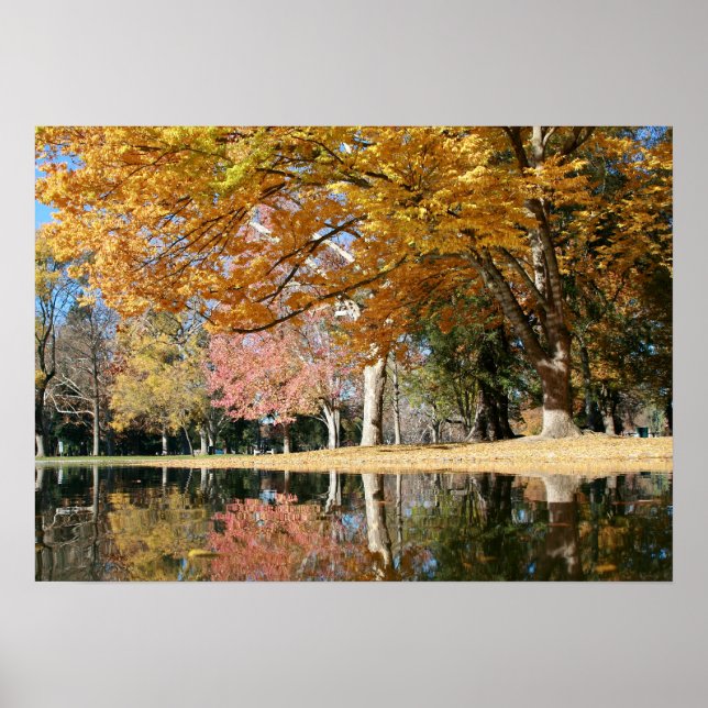 Autumn Park, Pond Poster (Front)