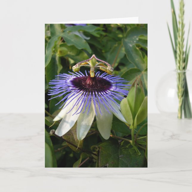 Autumn Passion Flower Card (Front)