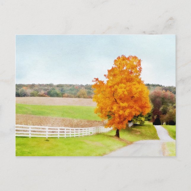 Autumn Pasture Postcard (Front)