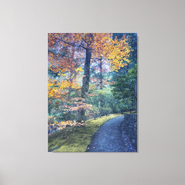 Autumn Path in Forest Canvas Print (Front)