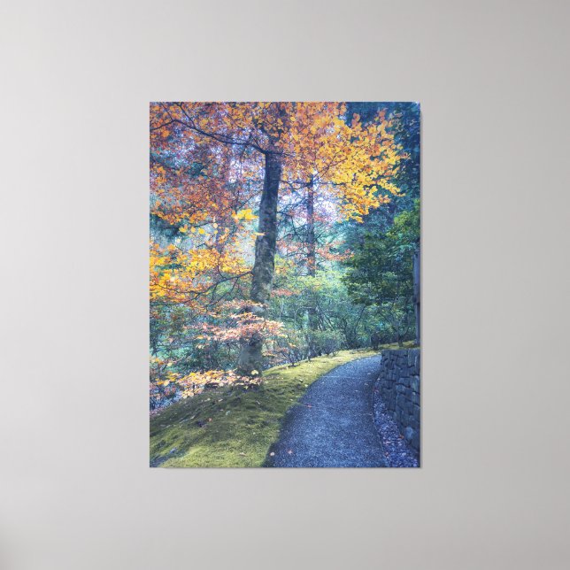 Autumn Path in Forest Canvas Print (Front)