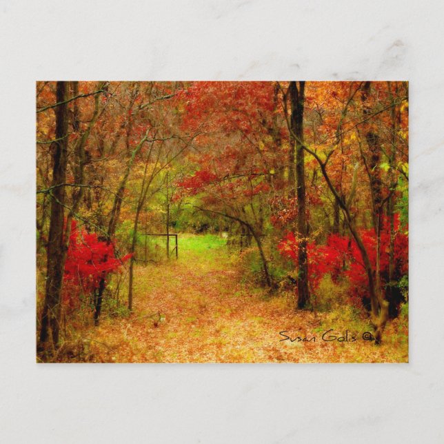 Autumn Path in Forest Thanksgiving Postcard (Front)