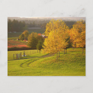 Autumn Path Postcard