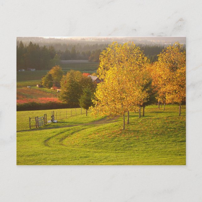 Autumn Path Postcard (Front)