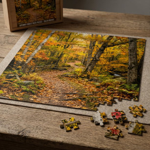 Autumn Pathway in a Forest Jigsaw Puzzle