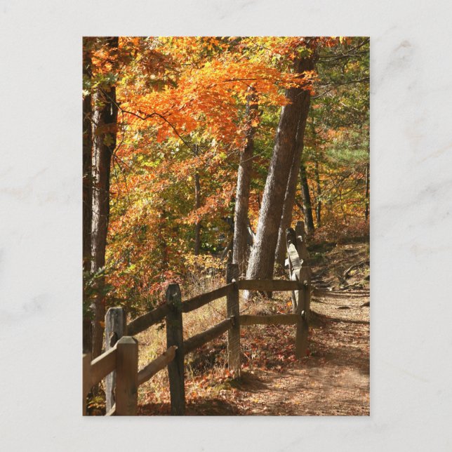 Autumn pathway postcard (Front)