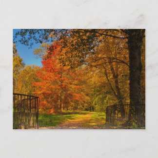 Autumn pathway postcard