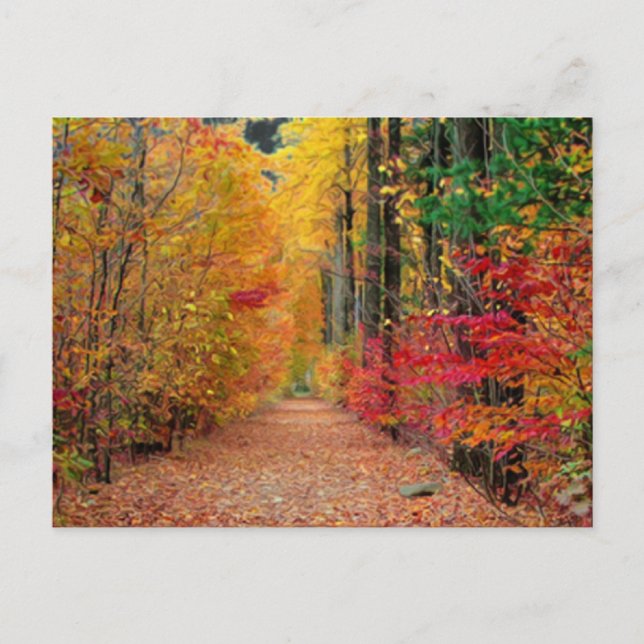 Autumn pathway,postcard postcard (Front)