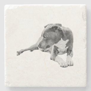 Autumn Pause Stone Coaster