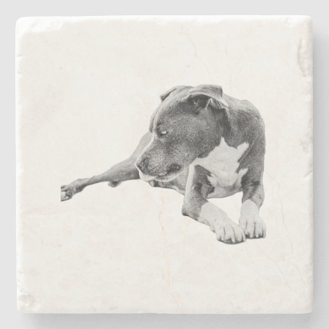 Autumn Pause Stone Coaster (Front)