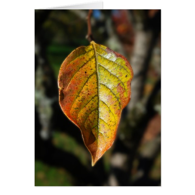 Autumn Persimmon Leaf (Front)