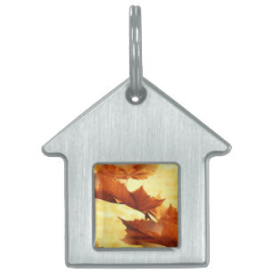 Autumn Pet ID Tag