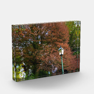 Autumn photo block